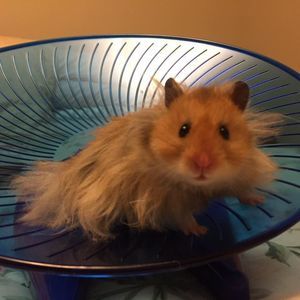 Meet your Posher, Jenn